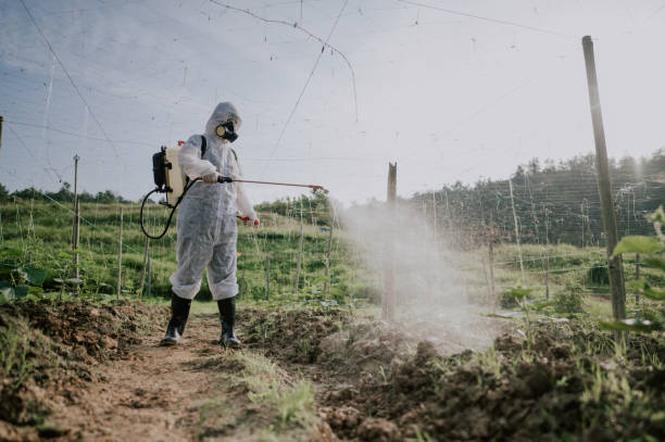 Pest Control Cost in Northwest Ithaca, NY