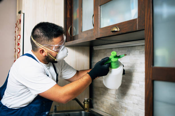 Best Flea Control Services  in Northwest Ithaca, NY