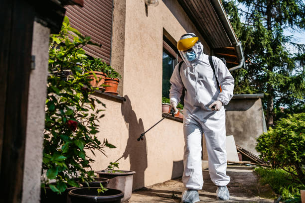 Best Best Pest Control Companies  in Northwest Ithaca, NY