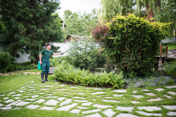 Best Pest Control Treatment  in Northwest Ithaca, NY