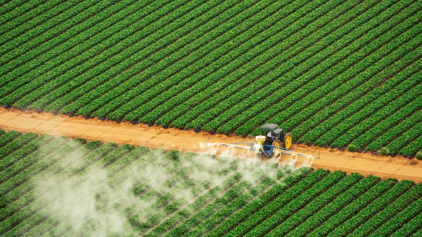 Best Mosquito Control Services  in Northwest Ithaca, NY